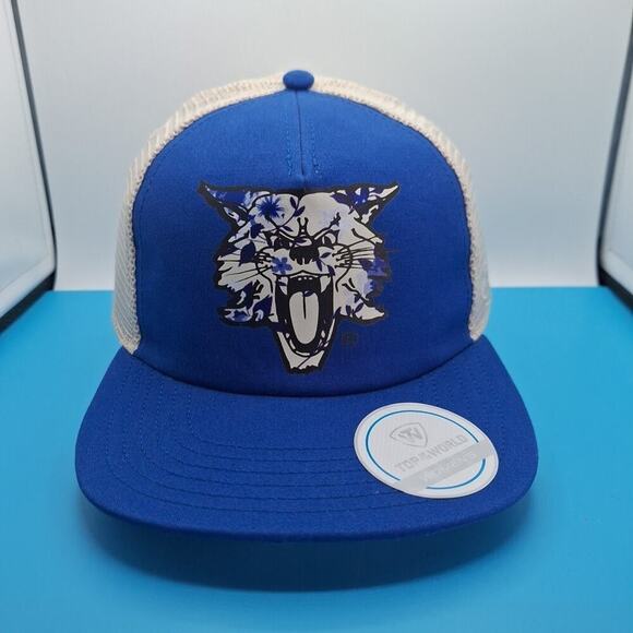 Kentucky Wildcats Dad Hat Cap Strap Back Mesh Soft Flexible Bill Womens Blue - Picture 1 of 7